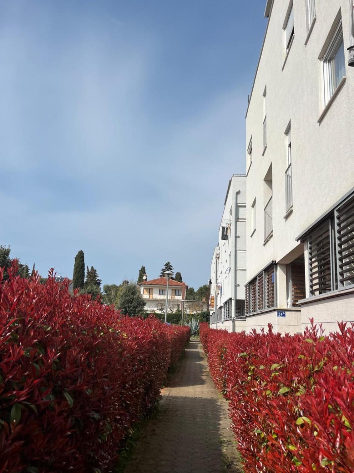 Apartment Violetta-Punta Ουμάγκ Εξωτερικό φωτογραφία